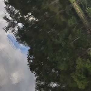 Meet your Posher, Serena